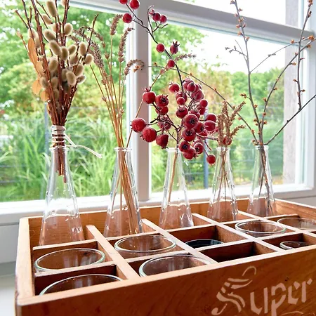 Fachwerkhaeuser - Haushaelfte 